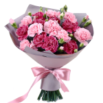 Carnation Harmony Bouquet