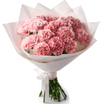 Pink Carnations Elegance