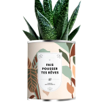 Customizable Potted Plant