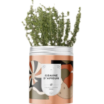 First-Time Gardening Kit