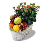Fruit Basket with a Blooming Plant