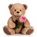 Cuddly Romance
