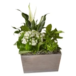 Gorgeous Greenery Collection