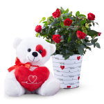 Blooming Rose and Romance Gift