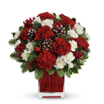 Holiday Blooms and Pines