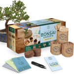 Miniature Forest Bonsai Gift Set