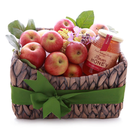 Brazil For Exchange Students