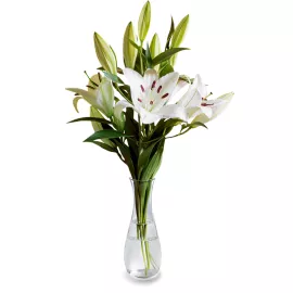 Ethereal Elegance With 3 White Lilies