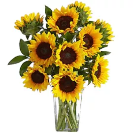 Sunflowers Selection