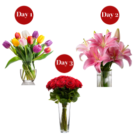 Lilies and Roses and Tulips, Oh My