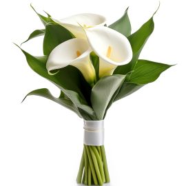 Calla Lily Simplicity Bouquet