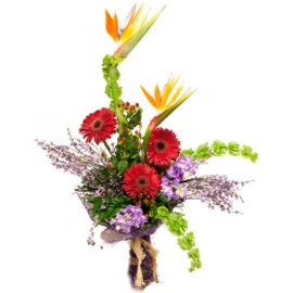 Daisies in the Tropics Bouquet