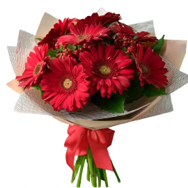 Bright Red Gerbera Daisies
