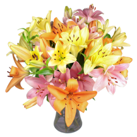Loved in Lily Bouquet