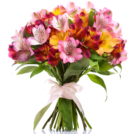 Alstromeria Rainbow Bouquet